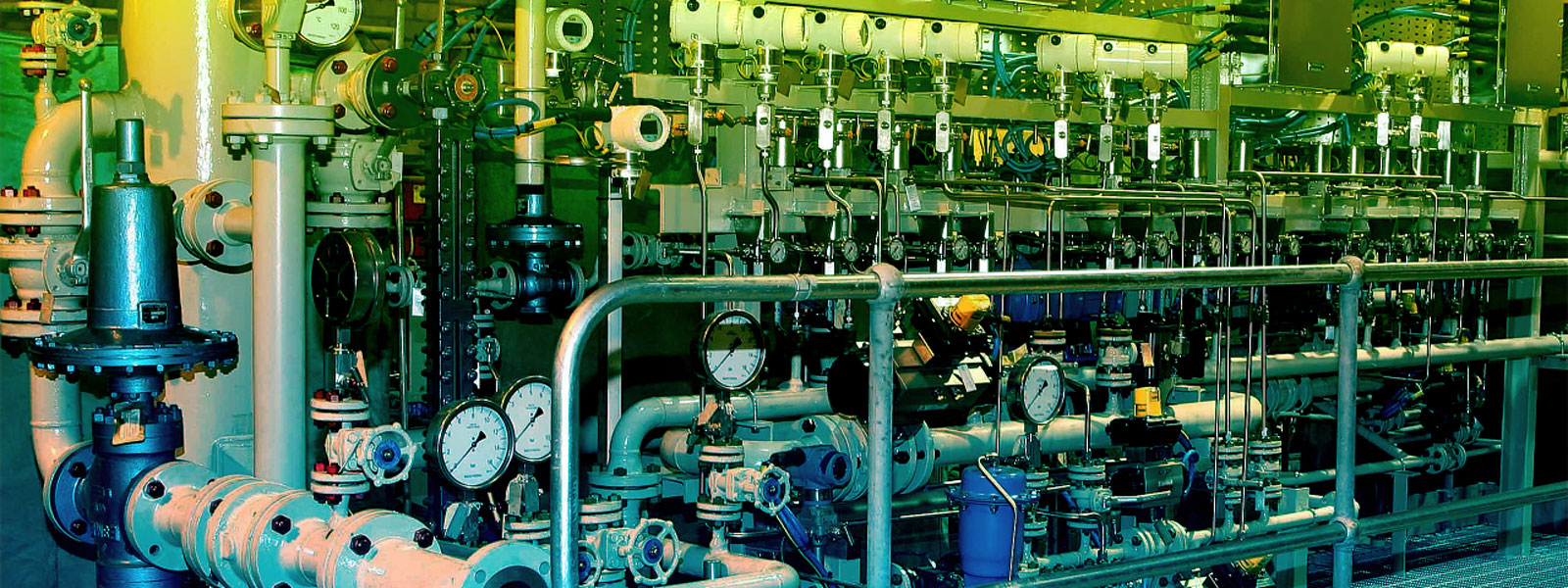 Burner Management System